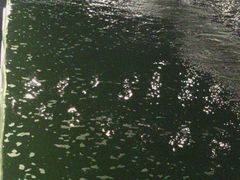 -DGE季风钓虾营地·团建·聚会