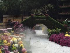 -汇龙潭