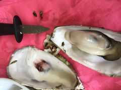 原蒸生态海岛鲜蚝-邹记·美食(斗门店)