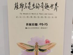 -长江文明馆