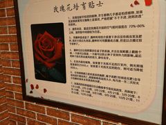 -逃脱反斗城沉浸剧情密室(阳光新业中心店)