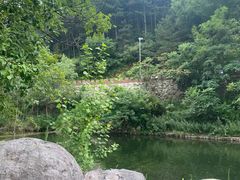 -雾灵西峰