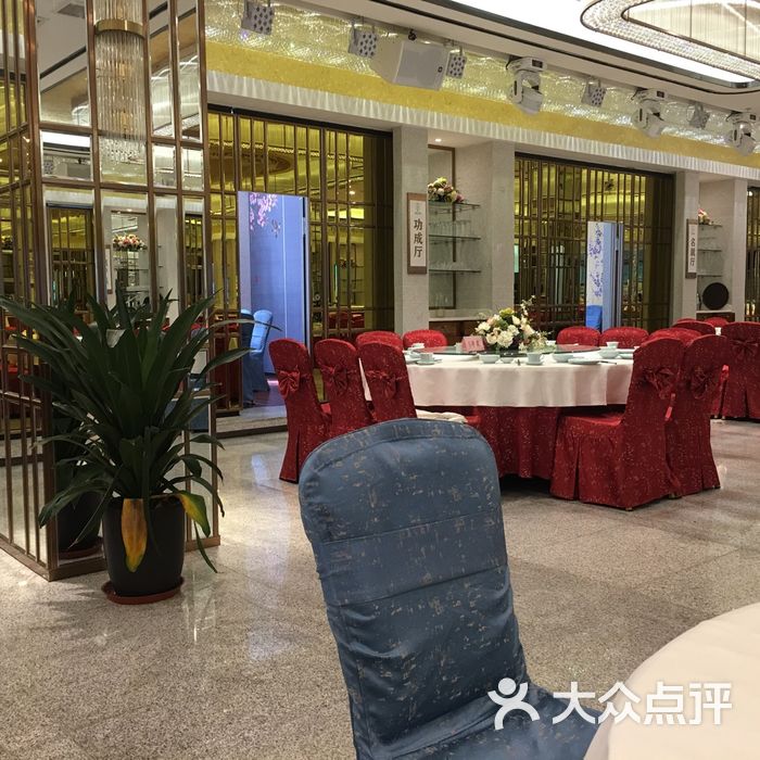 卡卡妹妹尼           陈加洛_1987           川子啊名字难取