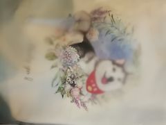 -Husky Go! 哈士奇体验馆·宠物咖啡厅狗咖