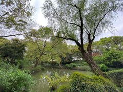 -上海醉白池公园