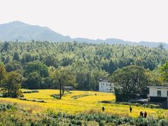 -塔川景区