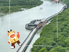 -东寨港红树林旅游区