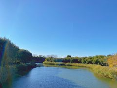 -大兴滨河森林公园