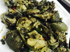 -大笮风(体育馆总店)