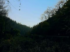 -云碧峰国家森林公园