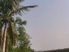 -东寨港红树林旅游区