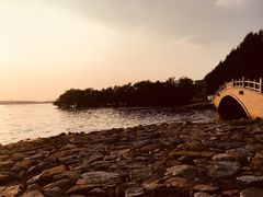 -宝安西湾红树林湿地公园