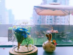 -桃花丼烧肉饭(凯丹商场店)