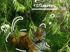 -五龙山野生动物王国