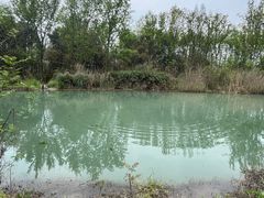 -桤木河湿地公园