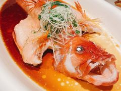 清蒸东星斑-上海滩餐厅(BFC外滩金融中心店)
