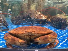 海鲜-七鲜超市(华宇时尚购物中心店)