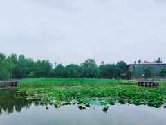 -望湖公园