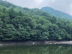 -洛阳白云山景区