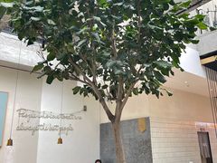 -大树餐厅(红旗街万达店)