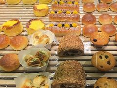 -华丰贺氏(营迹店)