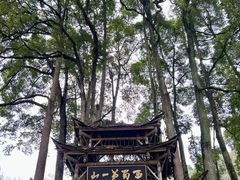 -青城山