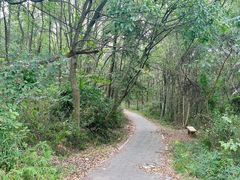 -青龙山国家森林公园