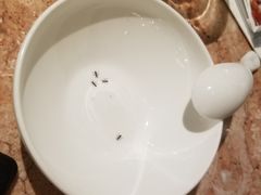 -唐宫小聚(新港中心店)