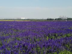 -赛汗塔拉风情园