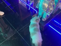 -暗楼·剧本杀·桌游