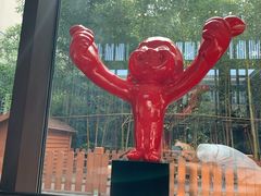 -上海崇明金茂凯悦酒店