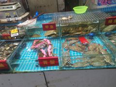 -西北农副产品中心批发市场(广安路店)