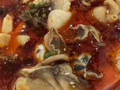 -金龙·打边炉(武进路店)