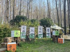 -林间山庄