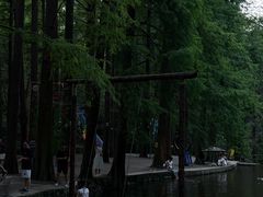 -波尔登森林公园