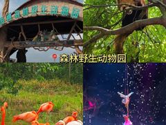 -南通濠河风景名胜区