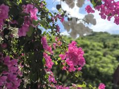 -鹿回头风景区
