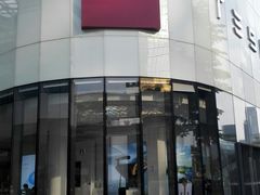 -TESLA 特斯拉(广州天环广场体验店)