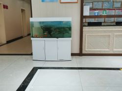 -邢台妇产医院