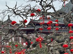 -华清宫景区