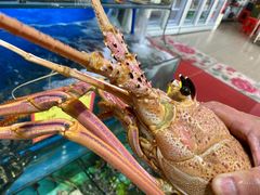 -蚝专家(北滘店)