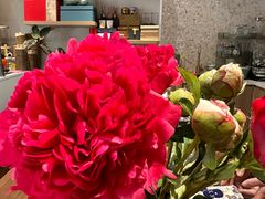 -LES ELITES 英集荟(南京西路店)