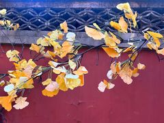 -潭柘寺景区