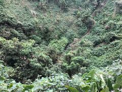 -海口火山口国家地质公园