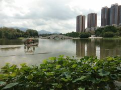 -飞来湖湿地公园