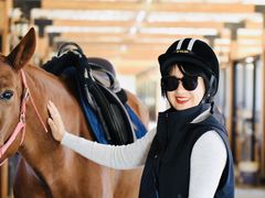 -北京群众马术培训基地