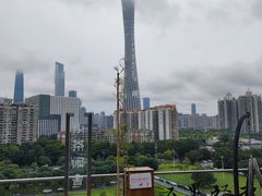 -小茶闲舍·观景商务茶馆(广州塔店)