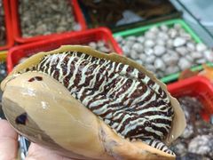 -船奇蒸汽海鲜·闽菜(八市海鲜总店)