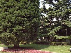iphone_upload_pic-宋庆龄陵园