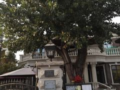 -天津五大道文化旅游区